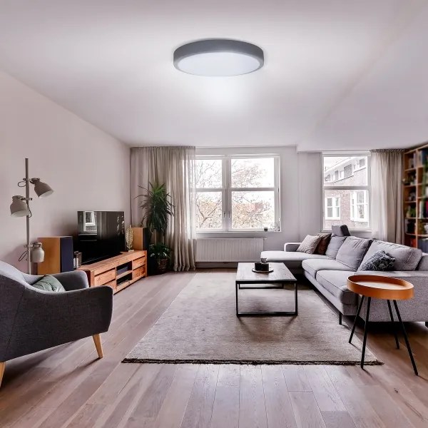 Solight WO8001 - Lampada LED dimmerabile GREY 48W 230V 3000-6500K Ø38 cm + DO