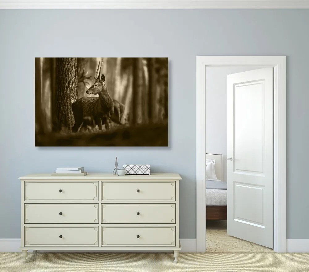 Quadro su tela – Cervo nella foresta di pini in seppia