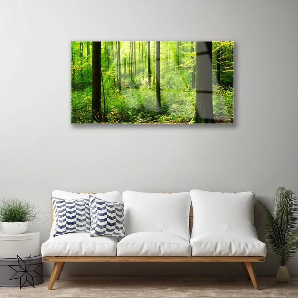 Quadro acrilico Foresta Alberi Verdi Natura 100x50 cm