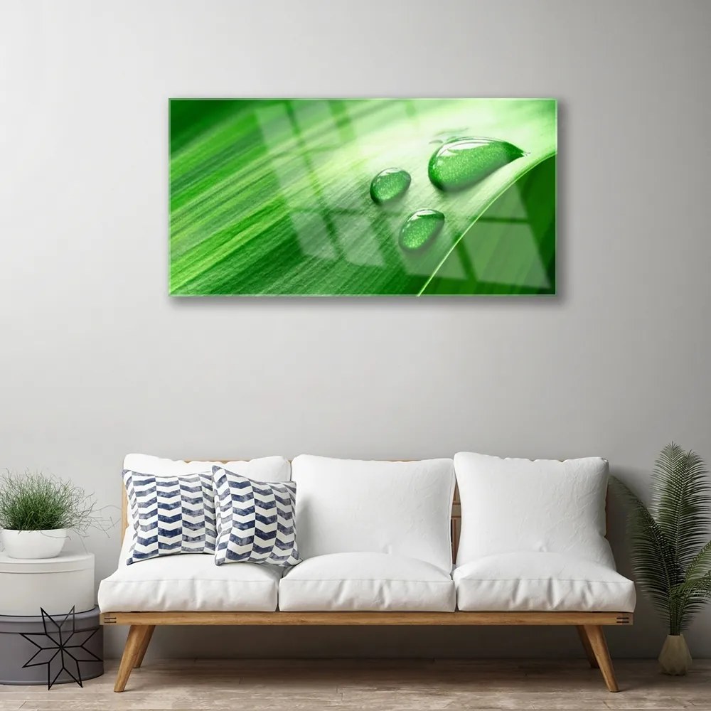Quadro su vetro Gocce d'acqua di foglie 100x50 cm 2 appendini