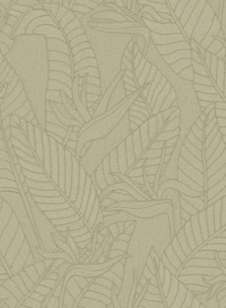 Arte Carta da parati Strelitzia - Olive