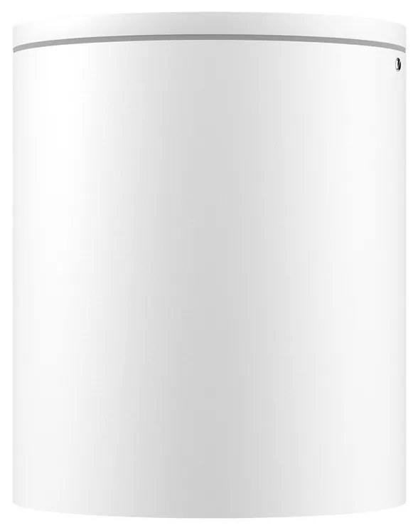 Applique da soffitto Cilindrica PAR30 IP54 in Alluminio e Vetro - Bianca