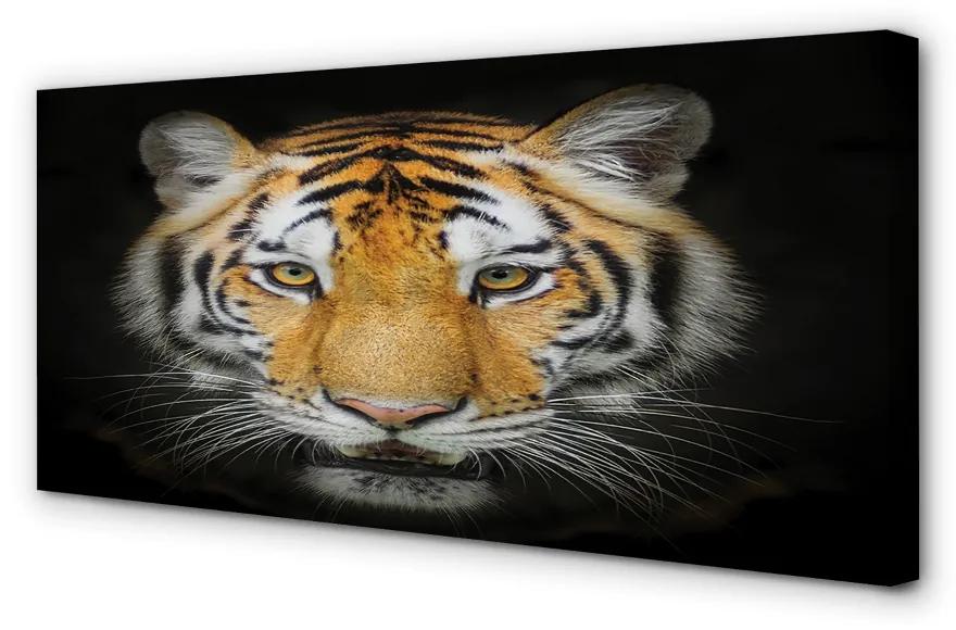 Quadro su tela Tigre 100x50 cm
