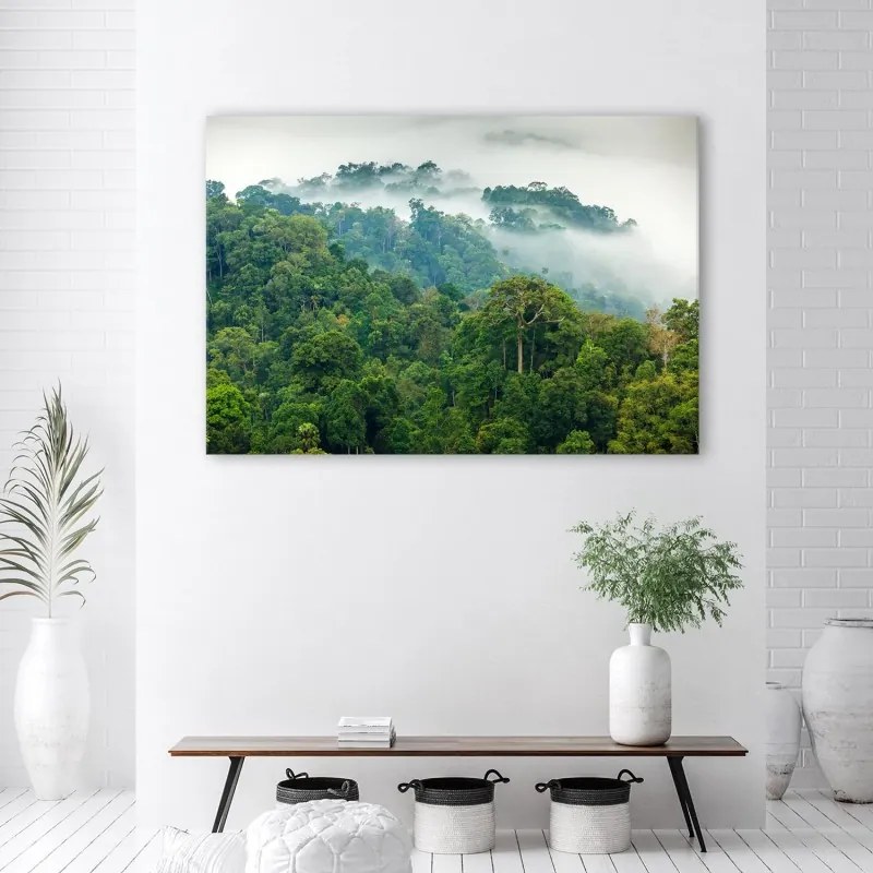 Quadro su tela, Foresta nella nebbia  Dimensioni 100x70