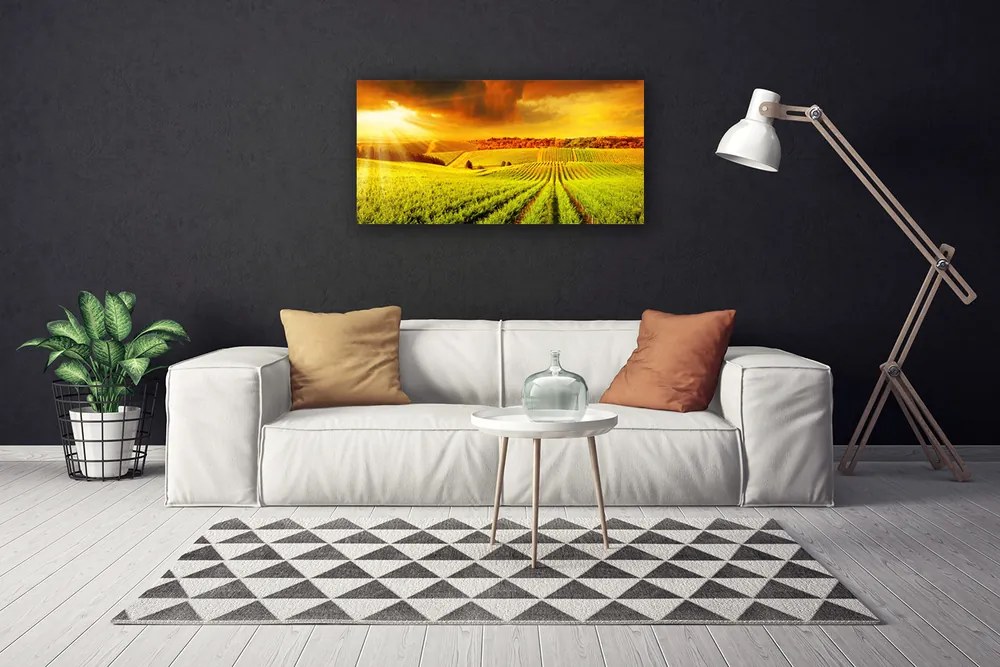 Quadro su tela Paesaggio del campo al tramonto 100x50 cm