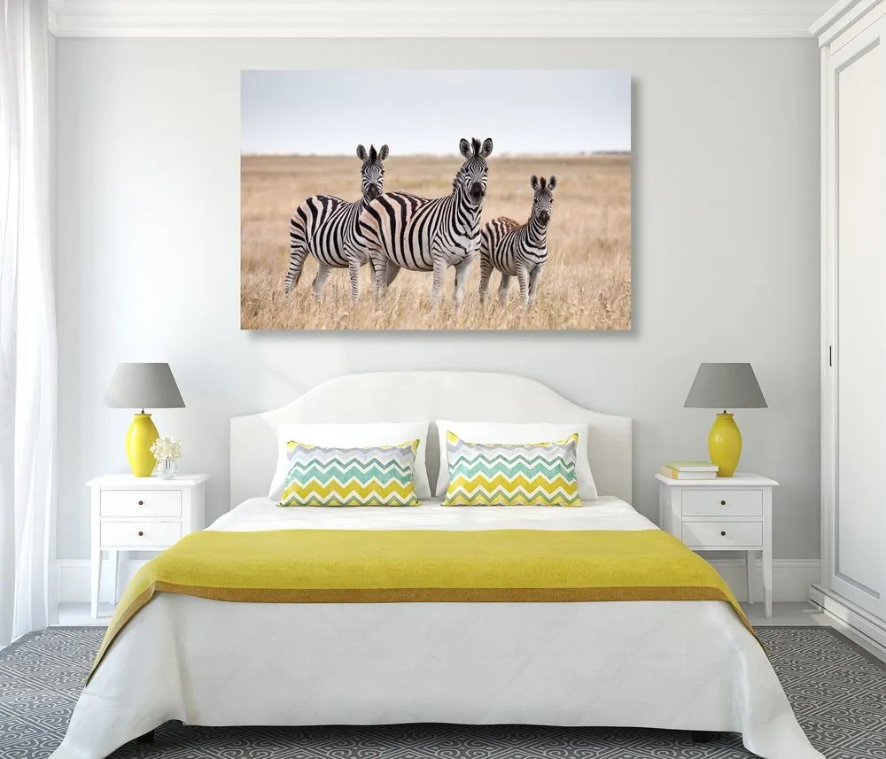 Stampa su tela – Tre zebre nella savana
