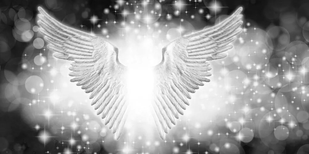 Stampa su tela – Ali in bianco e nero con elementi astratti