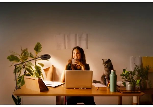 Ledvance - Lampada LED dimmerabile con clip SUN@HOME LED/15W/230V CRI 95 Wi-Fi