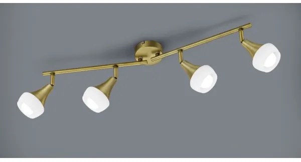 TRIO - Luce Spot TRUMPET 4xE14/40W/230V