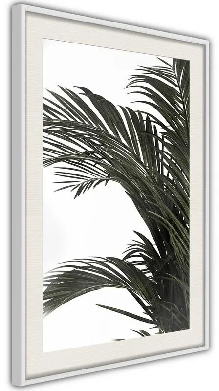 Poster  Jungle Scent  Cornice Quadri Cornice nera con pass-partout, Larghezza x Altezza Home decor 20x30