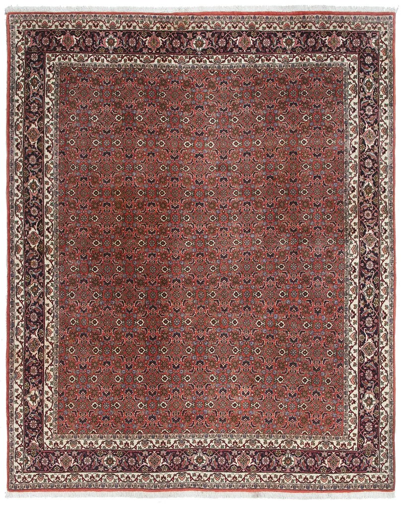 Bidjar Tappeto 250x200 (Iran) Annodato A Mano