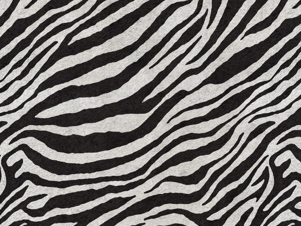 Wild cuscino in collezione Wild in microfibra impermeabile zebra