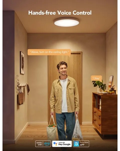 Govee - LED RGBICWW dimmerabile plafoniera LED/29W/230V Ø 30cm finitura opaca Wi-Fi