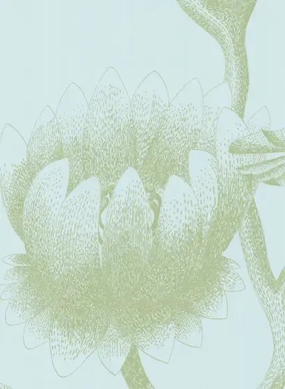 Cole & Son Carta da parati Lily - eisblau/ umbra