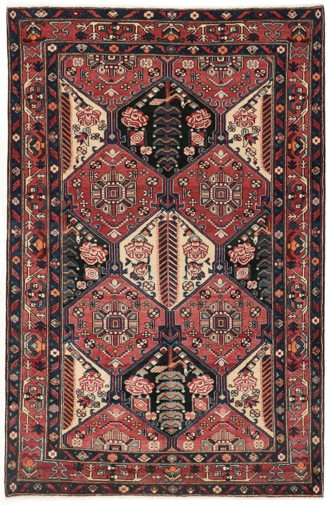 Bakhtiar Tappeto persiano 250 x 170 (Iran) Annodato A Mano