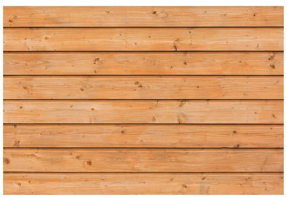 Carta da parati – Imitazione del Legno