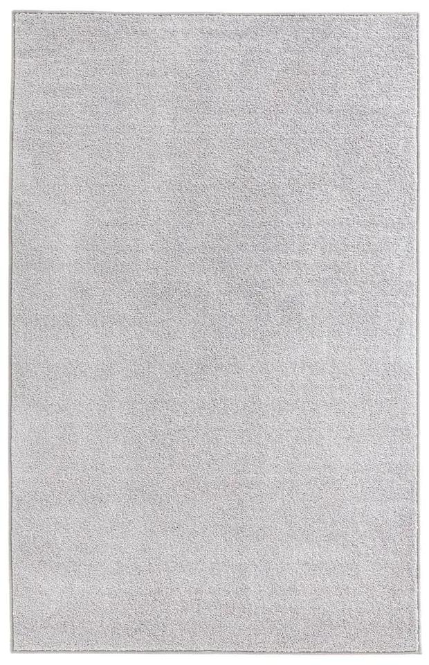 Tappeto grigio chiaro , 200 x 300 cm Pure - Hanse Home