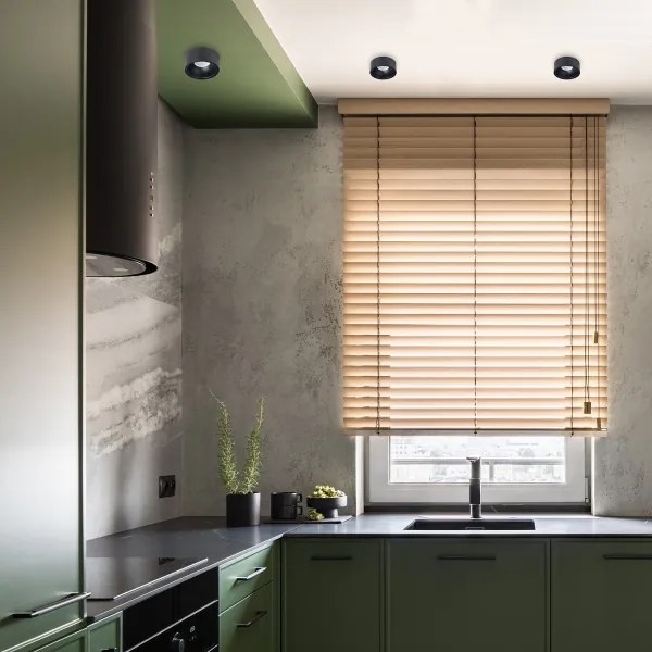 Faretto da incasso BALI 1xGU5,3/MR16/25W/12V tondo nero