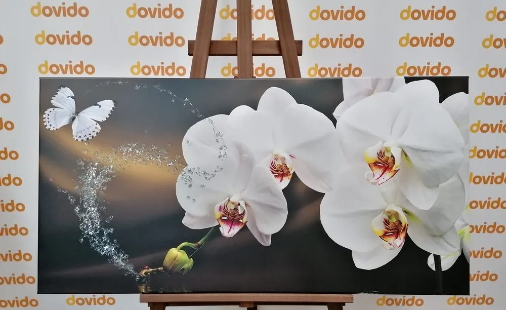 Quadro su tela – Orchidea e farfalla