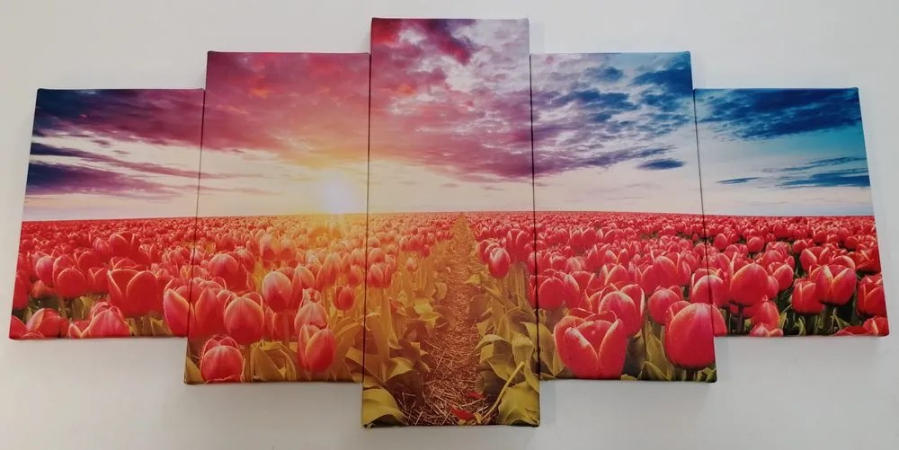 Quadri 5 pezzi – Alba su un campo di tulipani