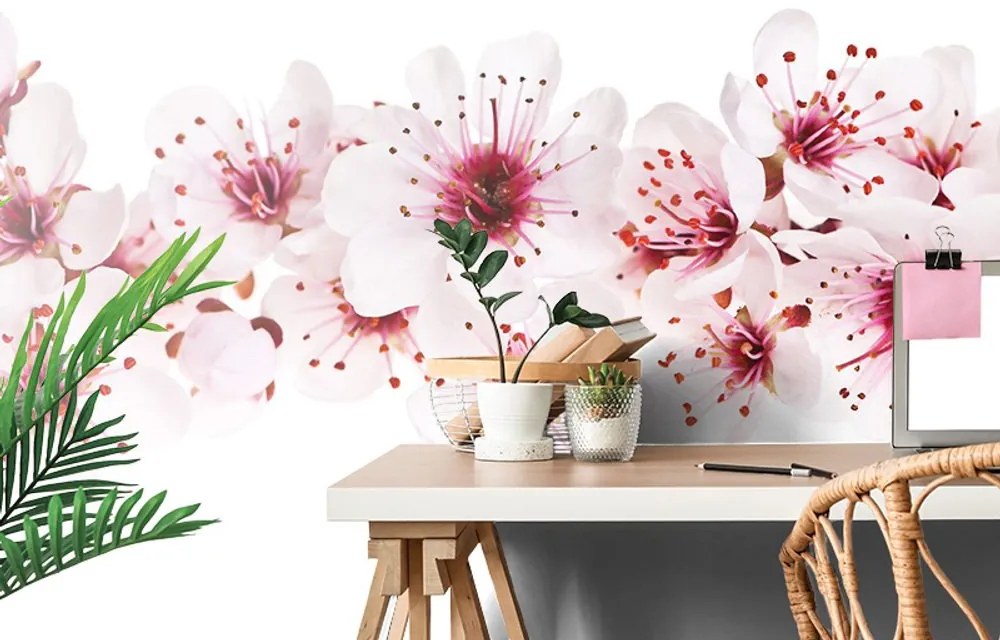 Carta da parati – Fiori di Ciliegio