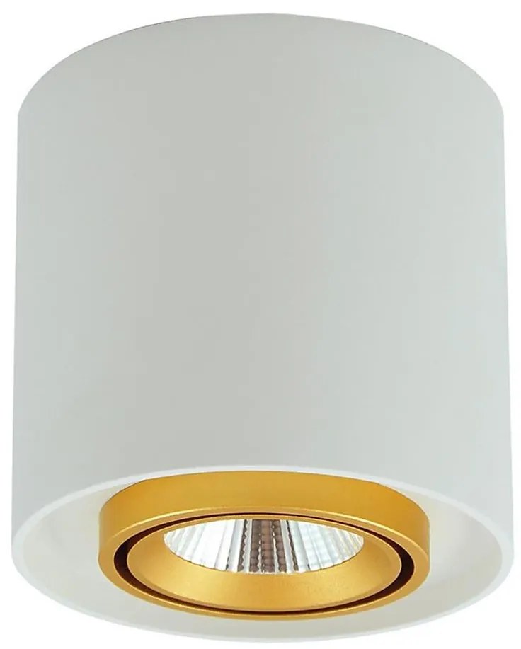Luce Spot a LED XENO LED/15W/230V bianco 1200lm