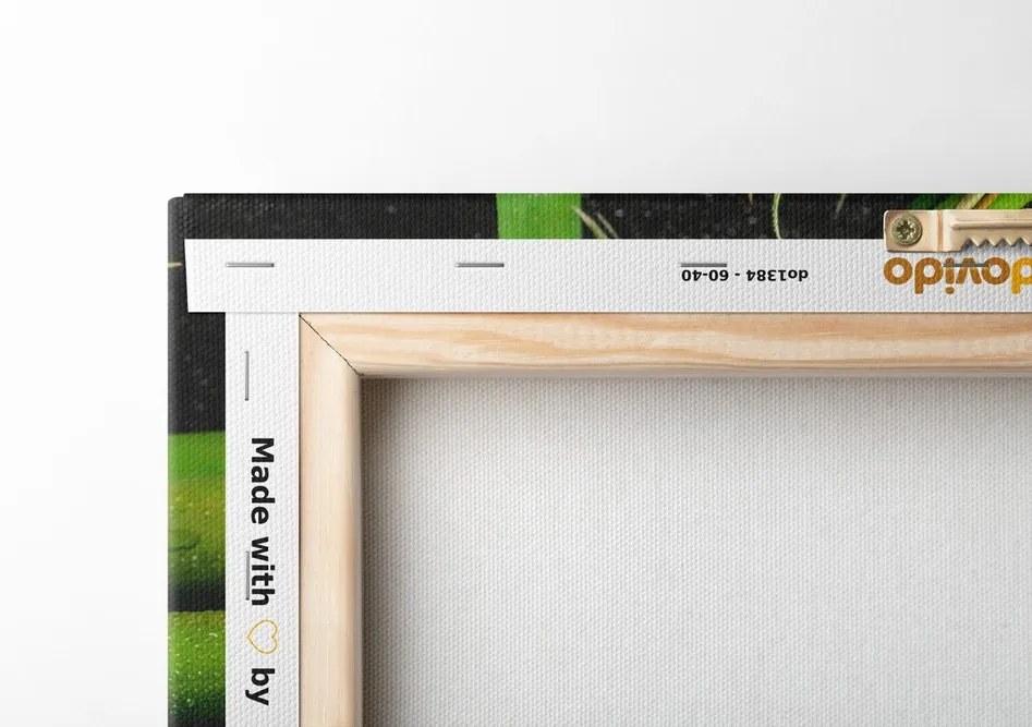 Stampa su tela – Pietre a forma di Jin e Jang