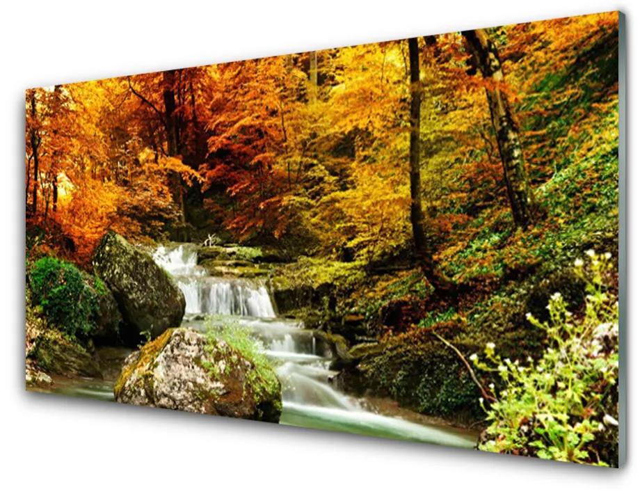 Quadro acrilico Cascata della foresta naturale 100x50 cm