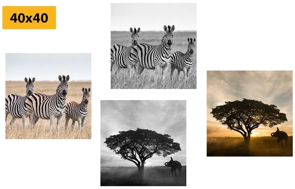 Set di quadri – Animali che vivono nella Savana