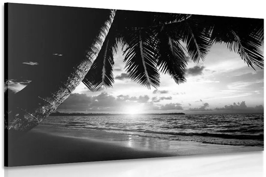 Stampa su tela – Alba sulla spiaggia caraibica in bianco e nero