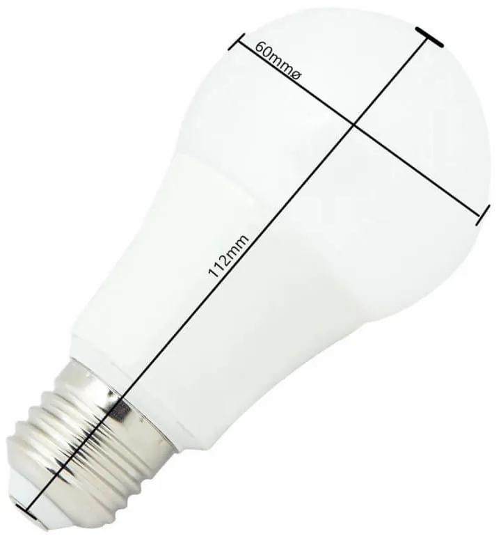 Lampada LED E27 A60 10,5W Colore Bianco Freddo 6.000K