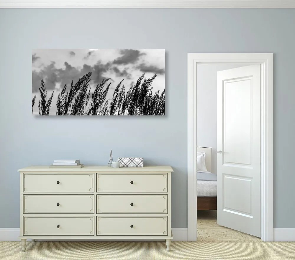 Quadro su tela – Erba in bianco e nero