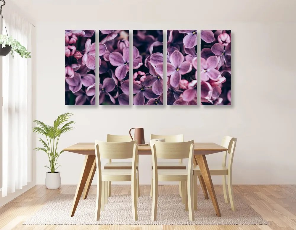 Quadri 5 pezzi – Fiori di lillà viola