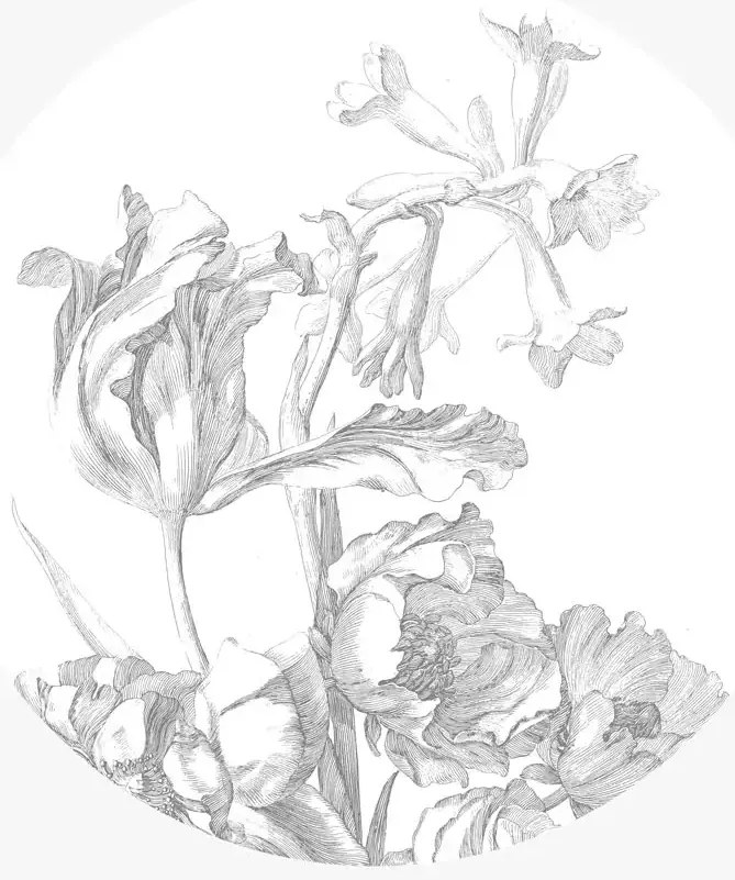 KEK Amsterdam Carta da parati panoramica Engraved Flowers 4 Circle - S - 1.425m