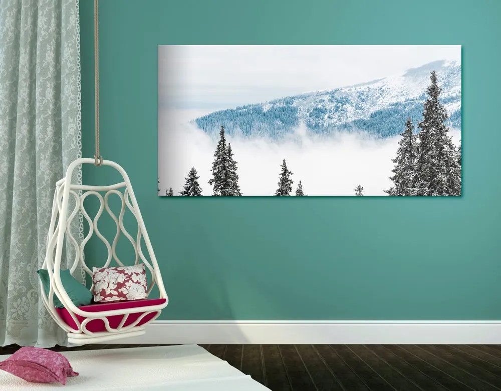 Stampa su tela – Alberi di pino innevati