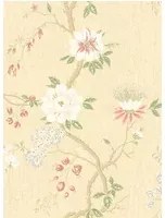 Tapete Camellia von Cole and Son - Coral/ Sage