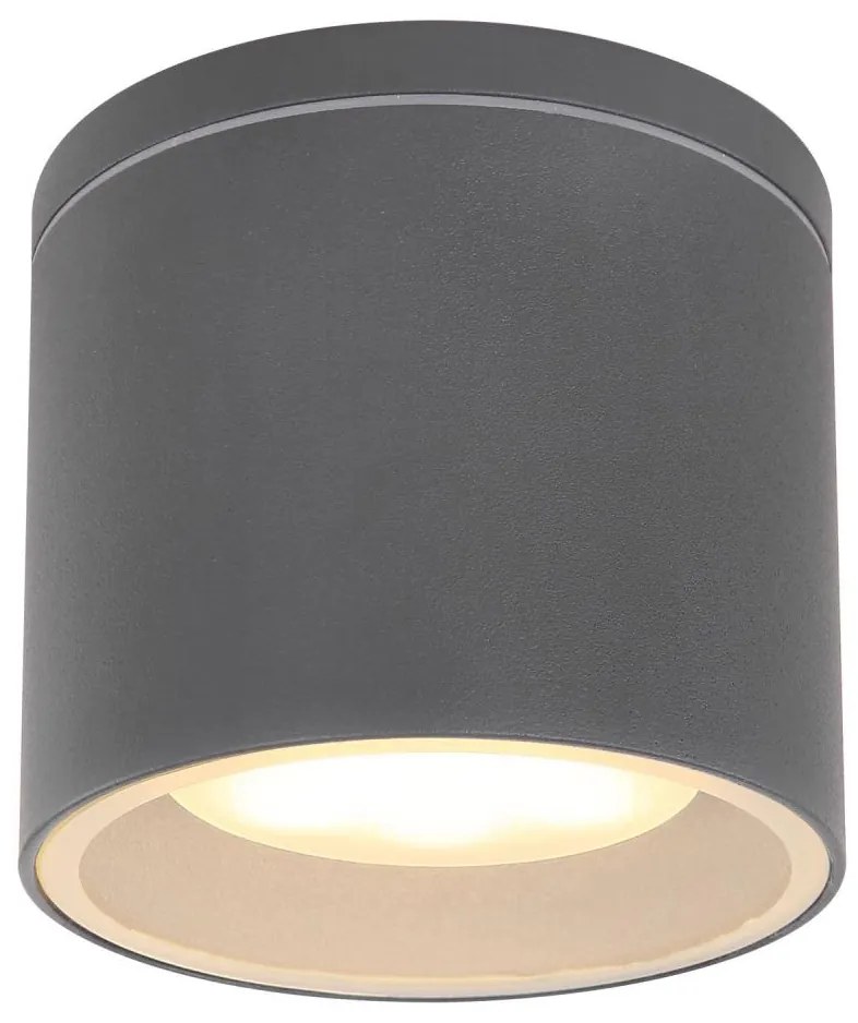 Globo 32063A - Plafoniera da esterno ALCALA 1xGX53/11W/230V IP44