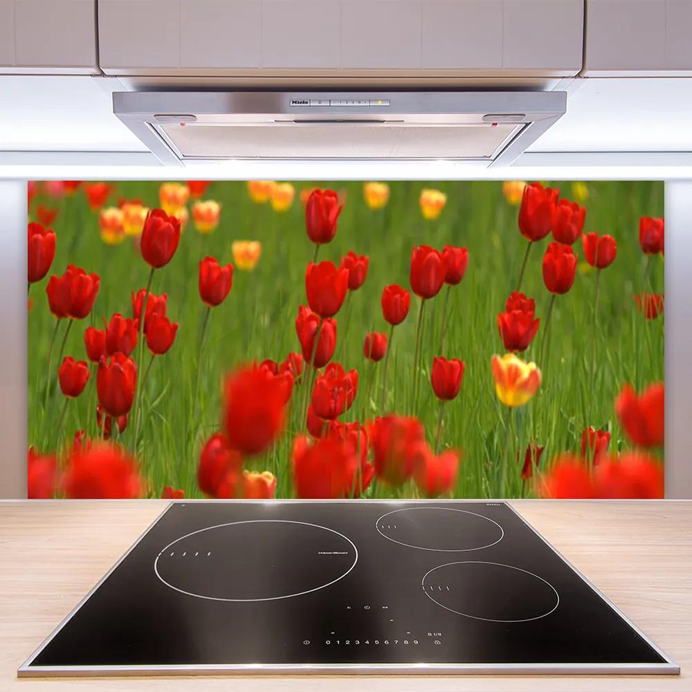 Rivestimento parete cucina Tulipani Pianta 100x50 cm