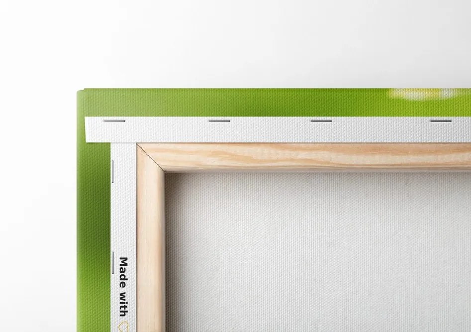 Quadro su tela – Composizione Zen tropicale