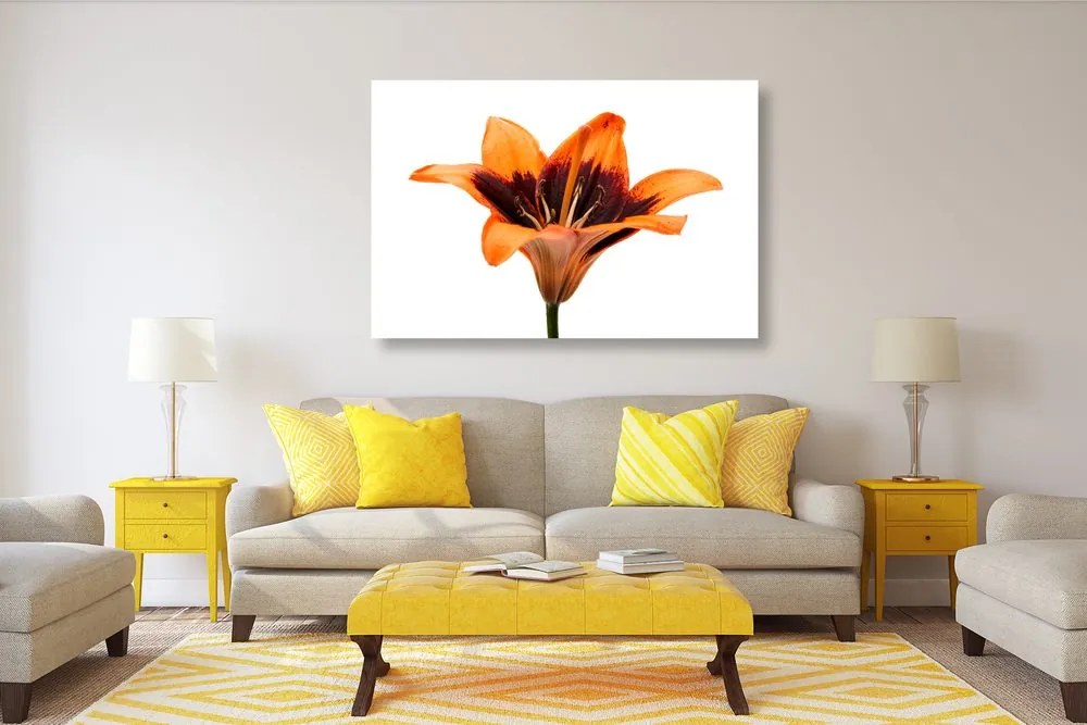 Quadro su tela – Giglio arancione