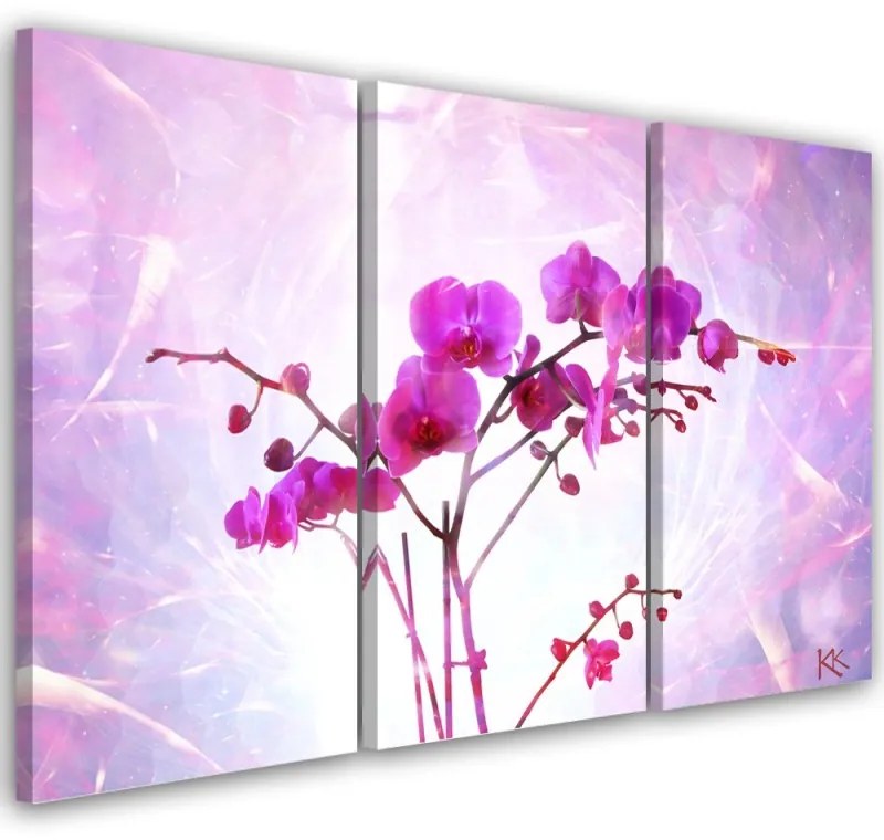 Quadro su tela 3  pannelli, Orchidea essenziale  Dimensioni 120x80