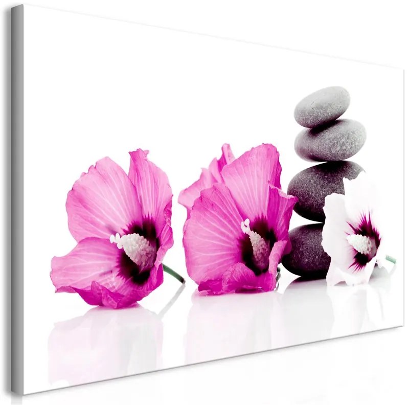 Quadro Calm Mallow (1 Part) Pink  Colore Bianco, Dimensioni e Misure 70x35