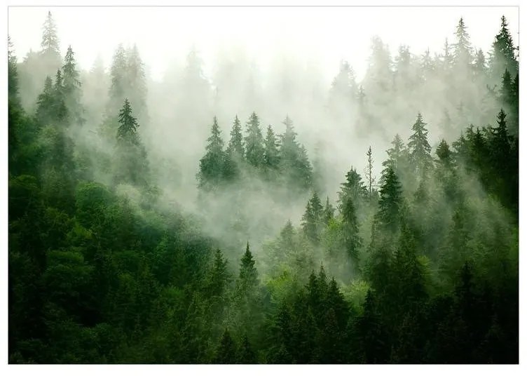 Fotomurale Mountain Forest (Green)