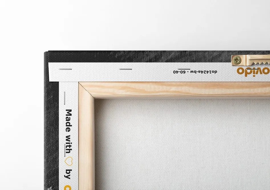 Quadro su tela – Papaveri di campo dipinti in bianco e nero