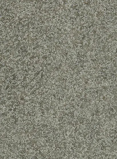Lederoptik Tapete Shagreen von Zoffany - Zinc