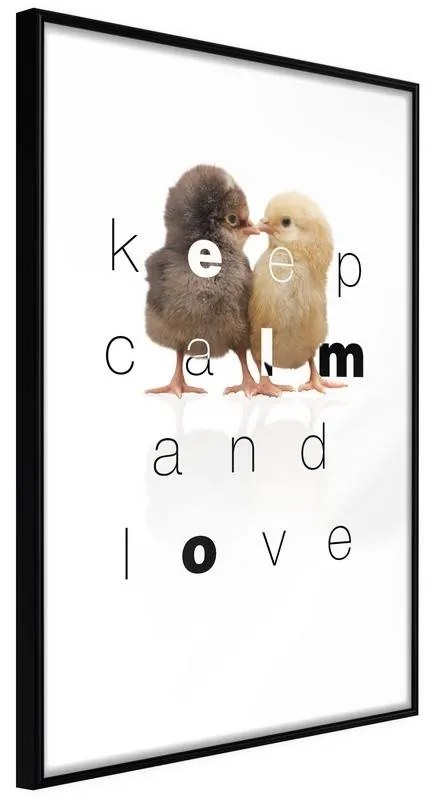 Poster  Cute Chicks  Cornice Quadri Cornice nera, Larghezza x Altezza Home decor 30x45