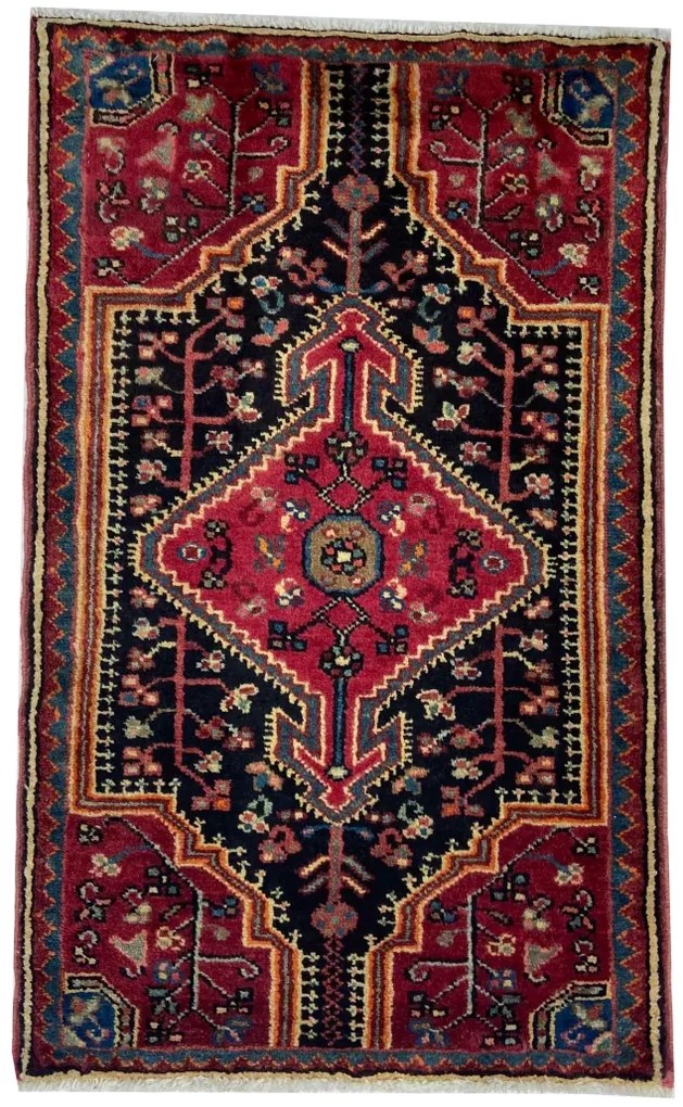 Hamedan Tappeto 60 x 100 (Iran)