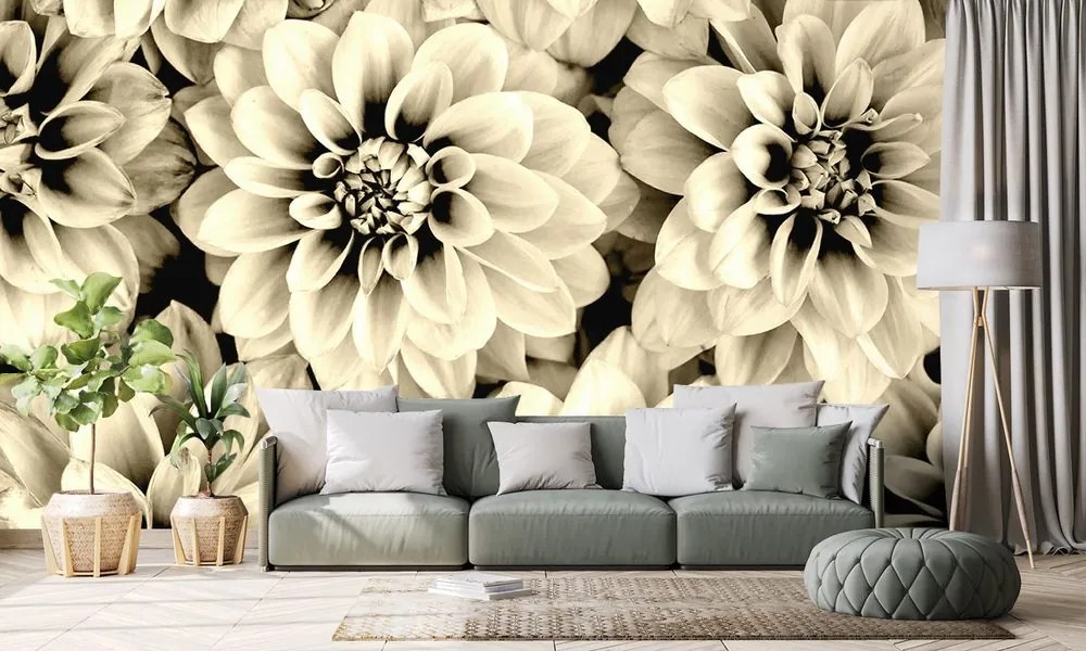 Carta da parati – Fiori di dalia in seppia