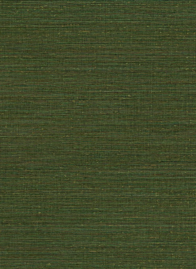 Eijffinger Carta da parati Grasscloth - 313509