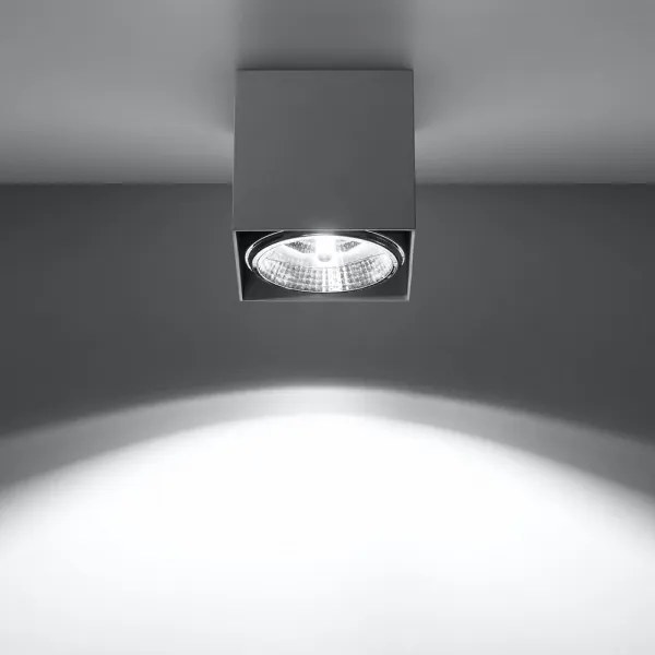 Luce Spot BLAKE 1xGU10/40W/230V